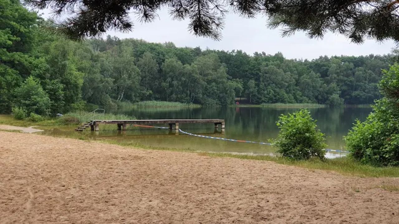 AreaSummer5KM AreaSummer5KM